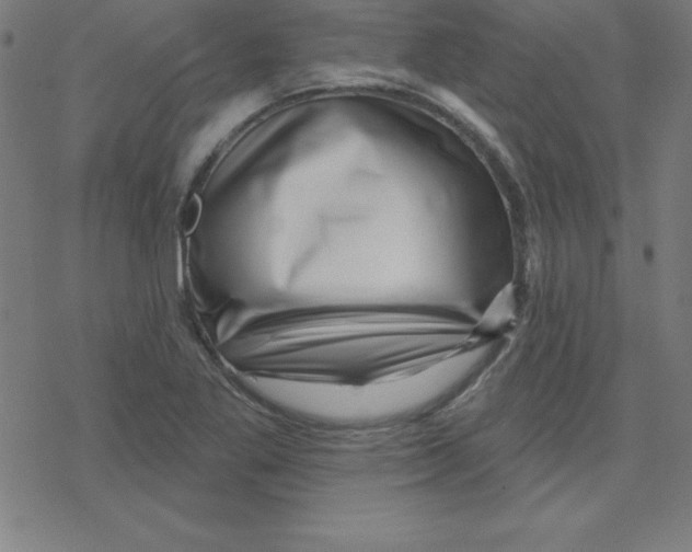 X0000078251269200612011620