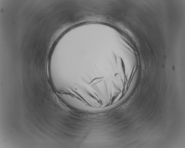 X0000078251272200612011620