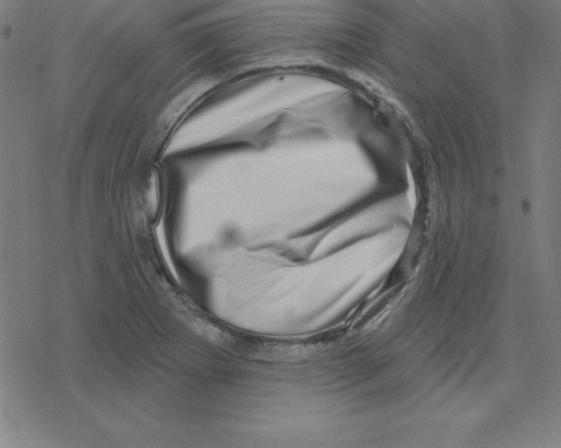 X0000078251273200612011620