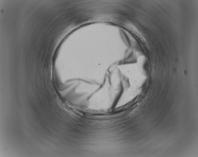 X0000078251276200612011620