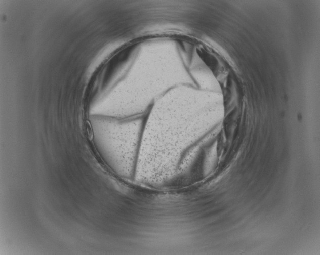 X0000078251277200612011620