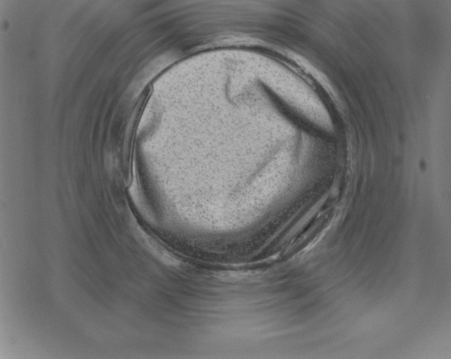 X0000078251281200612011620