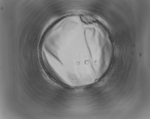 X0000078251283200612011620