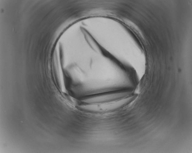 X0000078251288200612011620