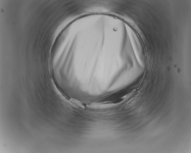 X0000078251295200612011620