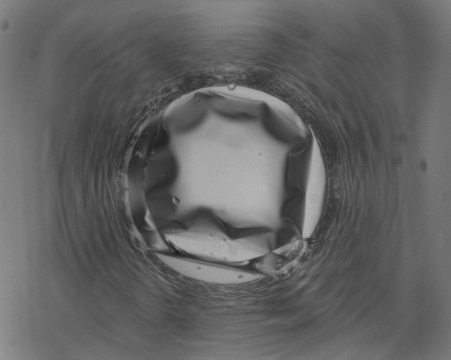 X0000078251298200612011619