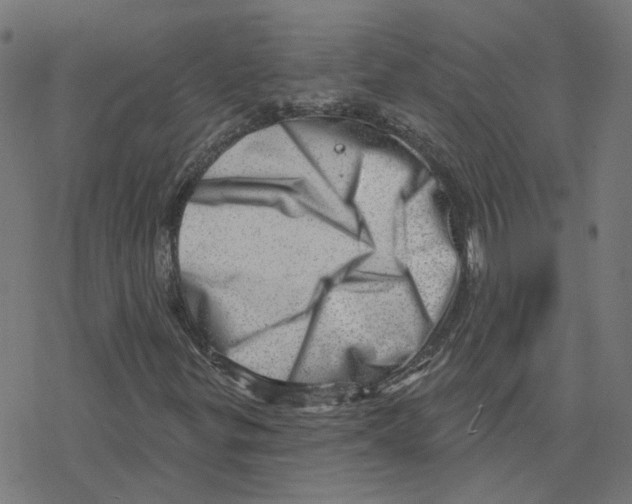 X0000078251299200612011619