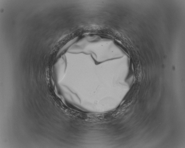 X0000078251301200612011619
