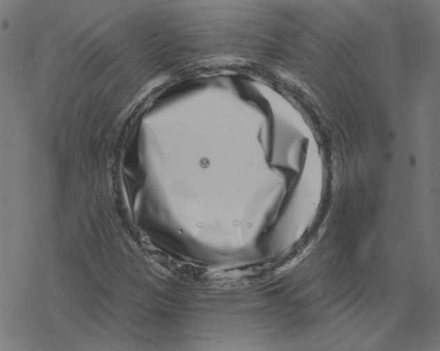 X0000078251305200612011619