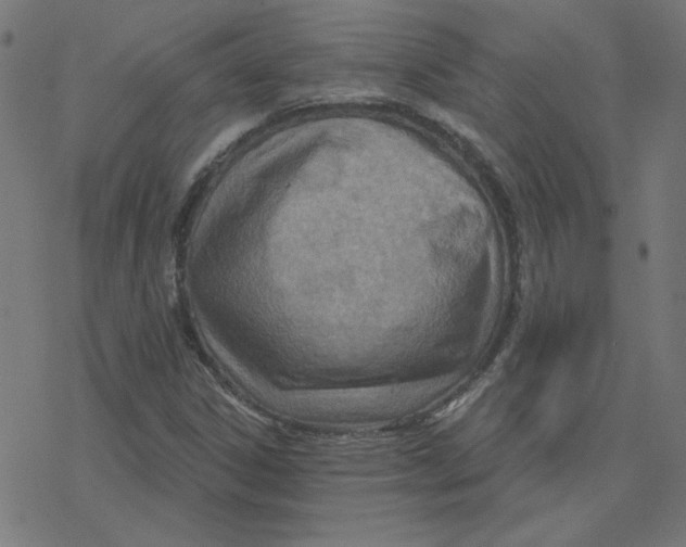 X0000078251306200612011619
