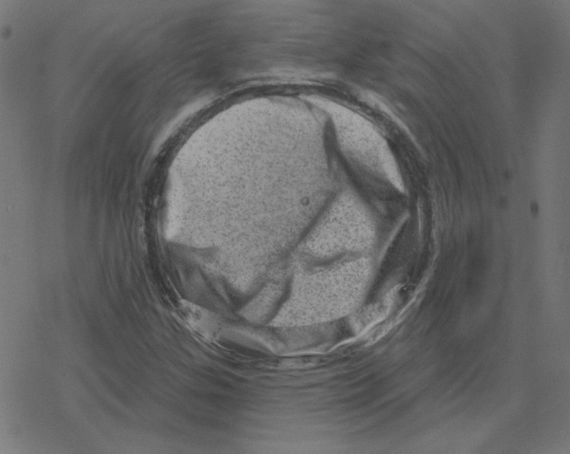 X0000078251307200612011619