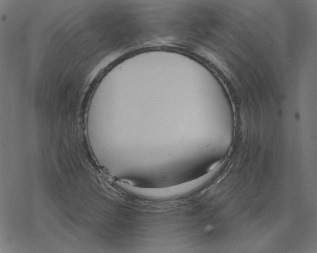 X0000078251308200612011619