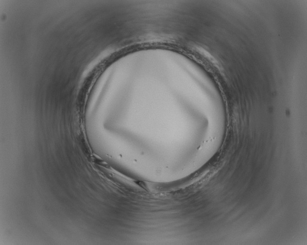 X0000078251310200612011619
