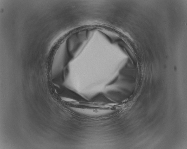 X0000078251311200612011619