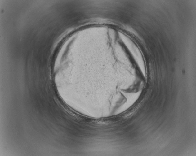 X0000078251318200612011620