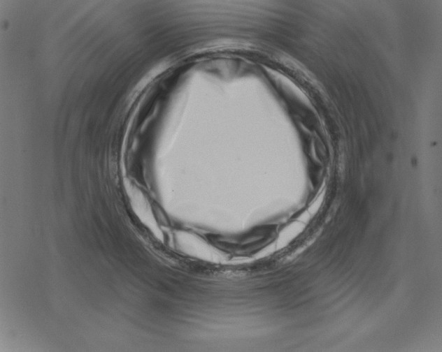 X0000078251321200612011620