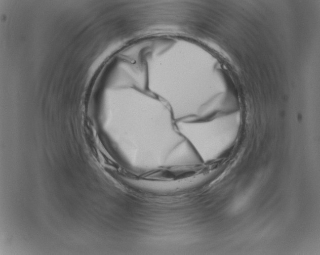 X0000078251325200612011620