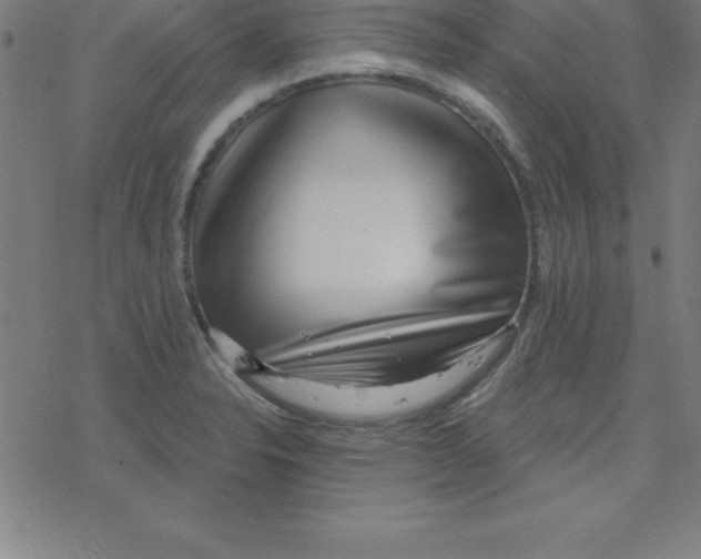 X0000078251326200612011620