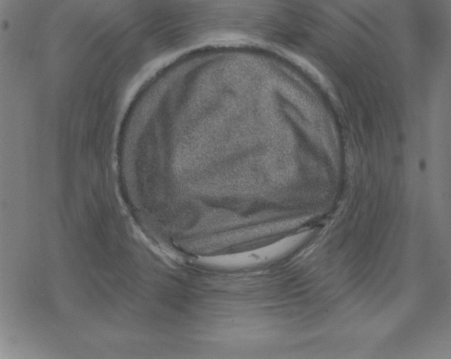 X0000078251327200612011620