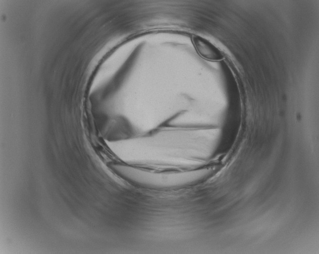 X0000078251333200612011620