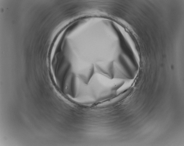 X0000078251335200612011620