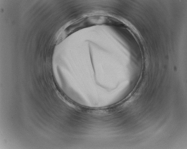 X0000078251337200612011620