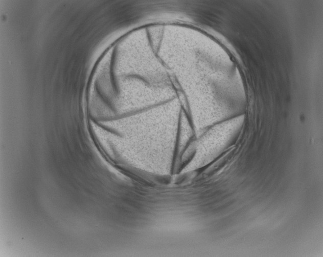 X0000078251343200612011620