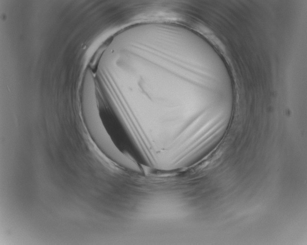 X0000078251344200612011620