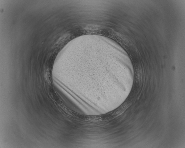 X0000078251346200612011619