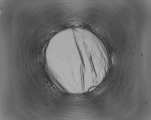 X0000078251347200612011619