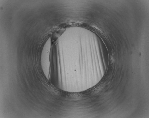 X0000078251348200612011619