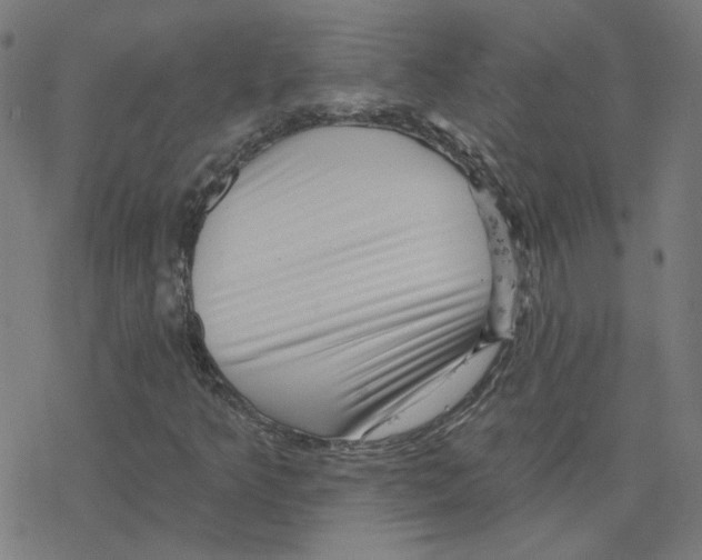 X0000078251349200612011619