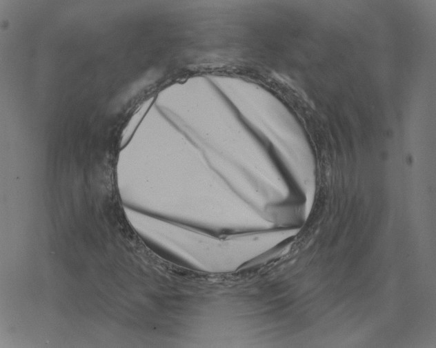 X0000078251350200612011619