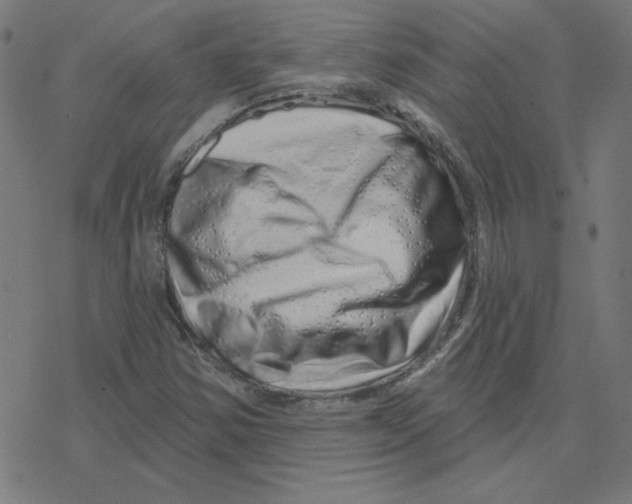 X0000078251354200612011619