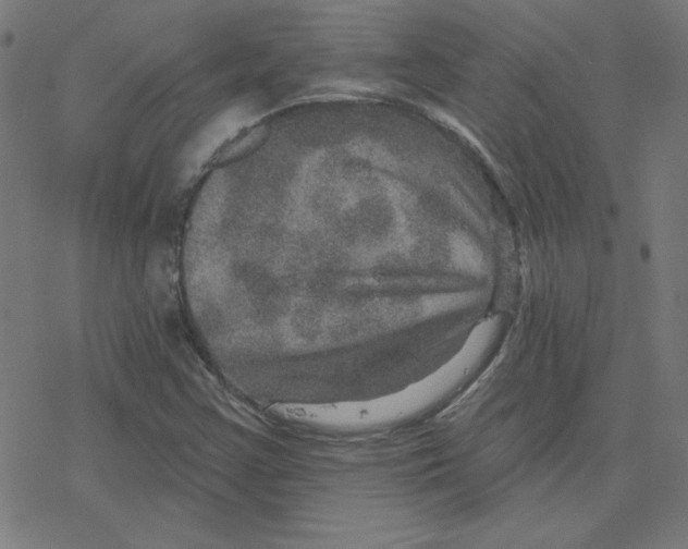 X0000078251355200612011619