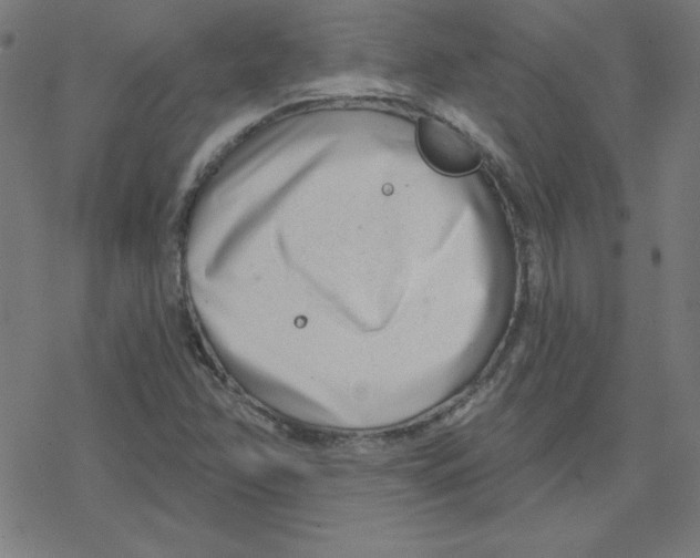 X0000078251358200612011619