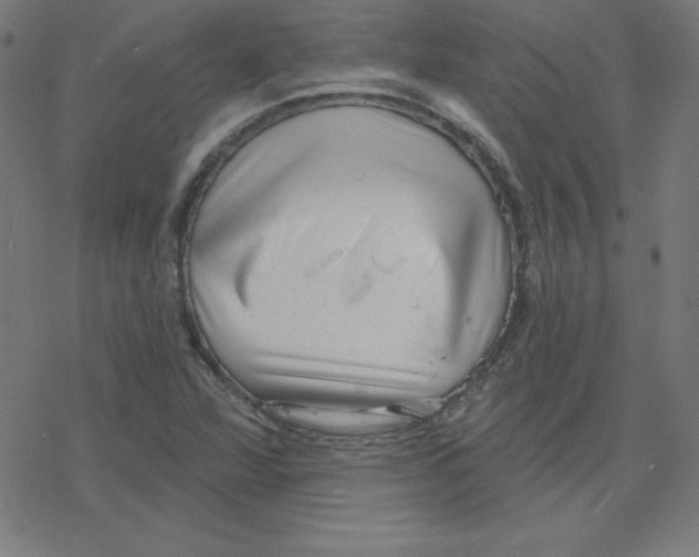 X0000078251360200612011619