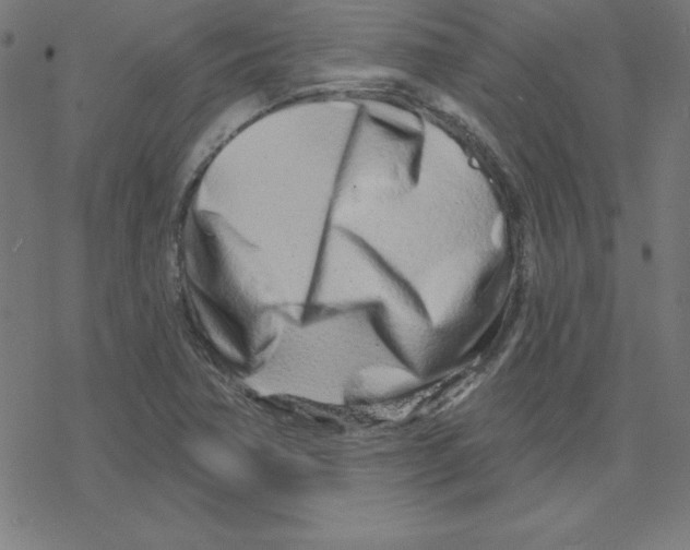X0000078251362200612011619
