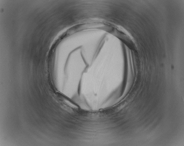 X0000078251364200612011619