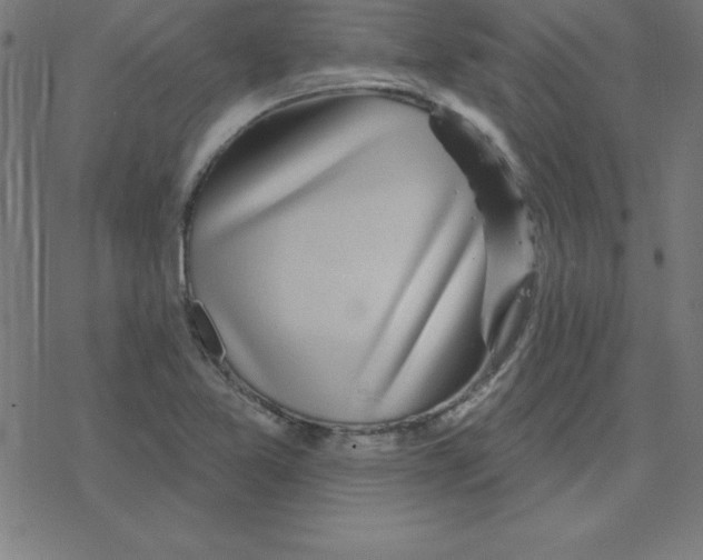 X0000078251365200612011619