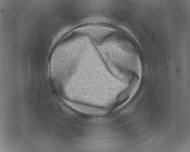 X0000078251366200612011619