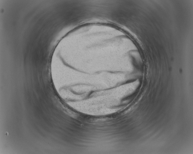 X0000078251367200612011619