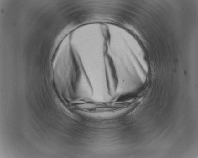 X0000078251371200612011619