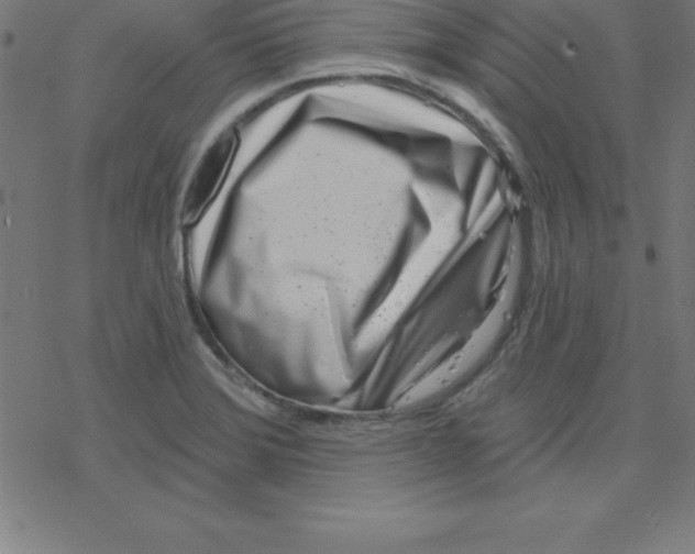 X0000078251372200612011619