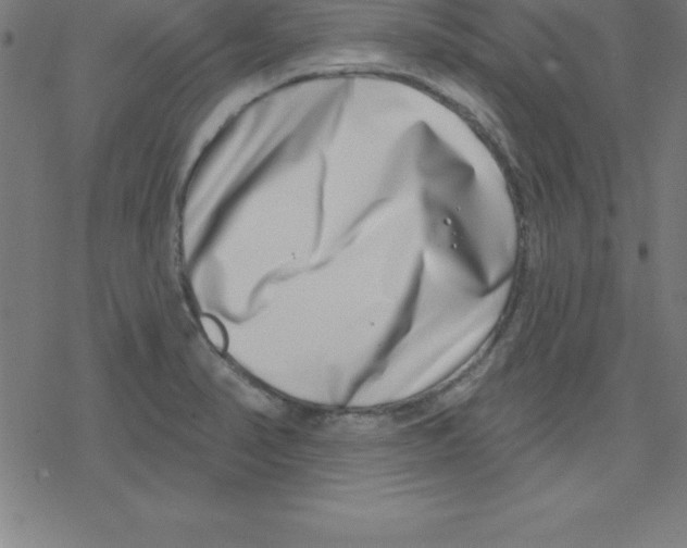X0000078251374200612011619