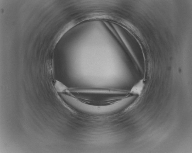 X0000078251377200612011619
