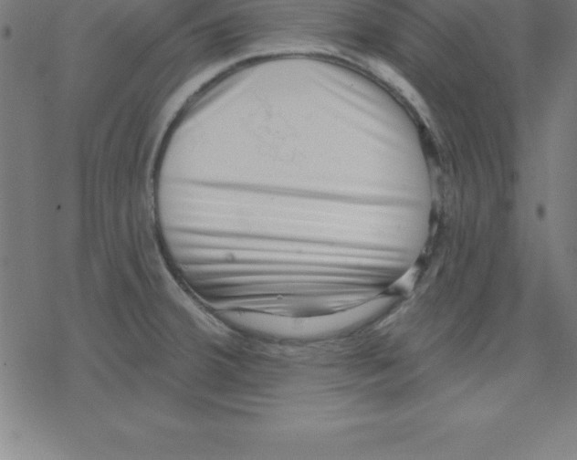X0000078251380200612011619