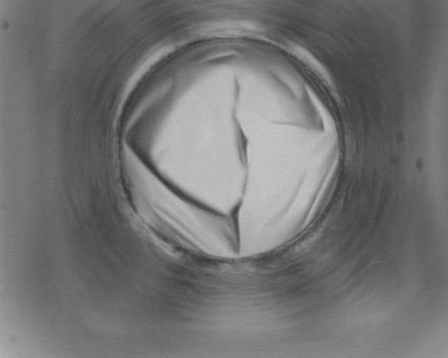 X0000078251384200612011619