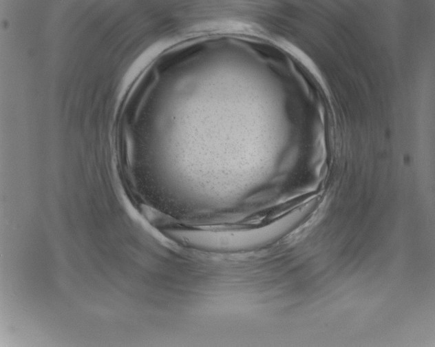 X0000078251389200612011618