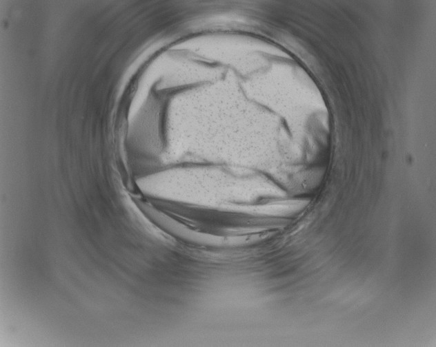 X0000078251392200612011618